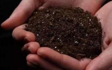 土壤特征可预测慢性浪费病的持久性