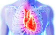 研究发现人们的DNA与心脏的电活动之间有数百条新的联系