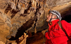 在一个著名的洞穴中发现濒危物种引发了疑问