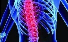 在脊髓损伤后的数小时中 控制人体内部时钟的齿轮严重失