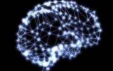 为什么科学家想要逐平面可视化神经网络