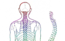 基因签名可以预测脊髓损伤后的恢复