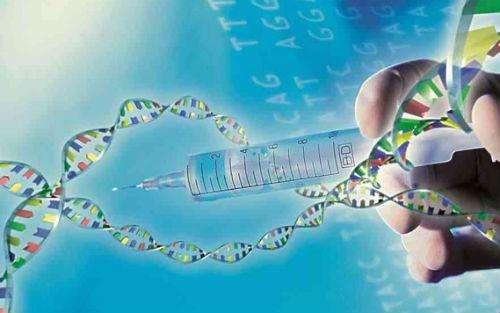 基因治疗研究人员可以从基因载体生物储备库提供的资源和