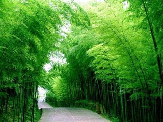 為什么有些植物生活得很快而且年輕