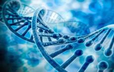 基因组迁移分析显示抗生素抗性从人类传播到动物