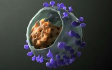 科学家公布了有希望的新型HIV疫苗策略