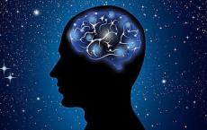一种新的分子机制对于大脑功能的成熟至关重要 可以用来