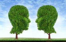 听到的声音如何成为我们大脑中的话语
