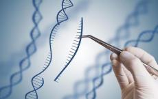 SATI基因编辑可以取代CRISPR