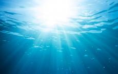 海洋热浪的增幅最大每年有两到六次事件发生