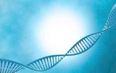 2018华创会生物专场下午项目路演投票入口