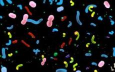 研究人员开发了包含阴道微生物中微生物群落的基因目录