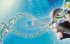 基因治疗研究人员可以从基因载体生物储备库提供的资源和