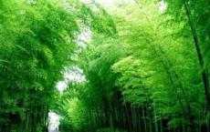 为什么有些植物生活得很快而且年轻