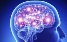 PsychENCODE揭示了大脑中的基因调控