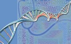 新的DNA测序技术可能有助于揭示癌症肿瘤的遗传多样性
