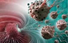 了解肺部免疫细胞对病毒感染的反应方式可能有助于科学家