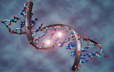 科学家对从发育到成年的通过DNA甲基化进行基因调控的理解