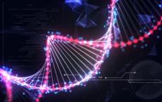 新型基因编辑工具SATI成功瞄准非编码DNA