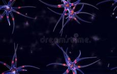 研究发现视觉神经元无法像科学家那样发挥作用