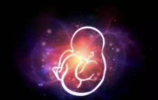 科学家发现重要因素在早期胚胎发育中的新作用