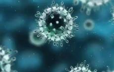 最新研究为寨卡病毒效应提供了更多见识