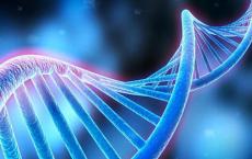新的分析证实了人类基因组数据可以预测临床试验的成功