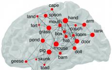 结果表明我们的大脑使用互联网搜索引擎策略来记住单词