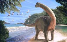 Mansurrasaurus shahinae的恐龙代表生活在大约8000万年前