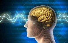 研究人员证明了大脑如何评估和预测身体的生理状态