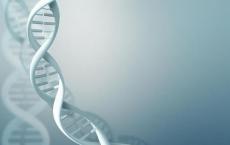 一些基因测序无法分析大部分DNA