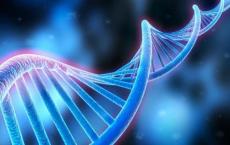 研究人员激活基因表达的新工具