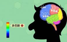 多巴胺禁食的背后实际上有科学依据吗
