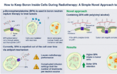 如何在放疗期间将硼保留在细胞内