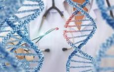 最新的研究使基因治疗迈出了一大步