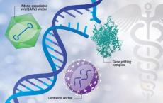 挖掘专利基因疗法的新技术提供了有希望的治疗选择