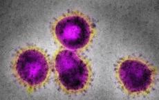 世卫组织低估了冠状病毒的传播