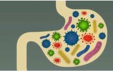益生菌对患有胃病毒的小孩没有帮助