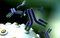 抗原研究表明对呼吸道合胞病毒疫苗的承诺
