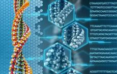 新的基因组学技术可用于追踪罕见遗传疾病的原因