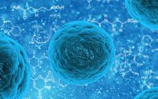 诱导多能干细胞可以作为癌症疫苗