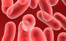 新研究将败血症后的维生素C治疗与更高的生存率联系起来