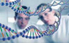 科学家确定了新的促进青春期的基因
