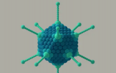 科学家配备了一种病毒 该病毒可以用一种蛋白质杀死癌细胞