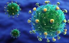 双重抗体攻击可抑制猴子的HIV