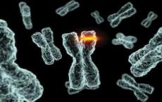 研究人员已经证明所谓的垃圾DNA突变会导致自闭症