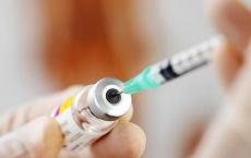 基于麻疹平台的其中一种疫苗是最有效的拉沙热疫苗