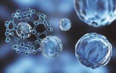 纳米粒子疗法可恢复肿瘤抑制因子 使癌细胞对治疗敏感