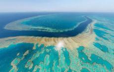 大堡礁的原位实验测试了未来的海洋酸化方案