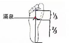 涌泉穴位位置图和作用